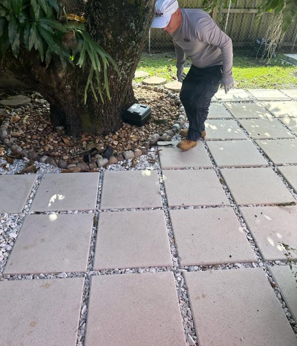 Rodent Control 7